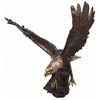 Image 1 : Large Polychromed Swooping Eagle Bronze by DeLier