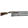 Image 8 : J. Baerten Double Signed and Engraved Belgian Browning Superposed Diana Grade Shotgun with Two Extra