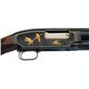 Image 3 : Expertly Engraved and Gold Inlaid Winchester Model 12 Heavy Duck Slide Action Trap Shotgun