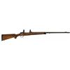 Image 1 : Custom Champlin Firearms Bolt Action Rifle with Scope Mounts and Rings