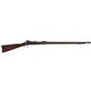 Image 1 : U.S. Springfield Model 1884 Trapdoor Rifle