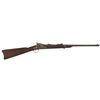 Image 1 : Custer Era U.S. Springfield Model 1873 Trapdoor Carbine