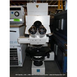 ZEISS LASER MICROSCOPE