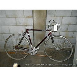 PANASONIC 12 SPEED DX 2000 BIKE