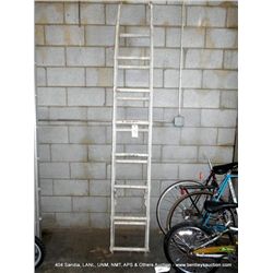 8' LADDER