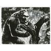 Image 1 : Fay Wray Signed 10'' x 8'' Photo from ''King Kong''