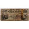 Image 1 : 1882 $10 NATIONAL FLORA, IL #1961