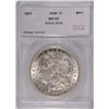 Image 1 : 1921 MORGAN DOLLAR SEGS MS-62 (VAM-1C)