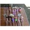 Image 1 : lot of 12 barbies
