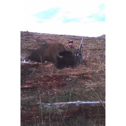 Alaska Bison Hunt