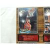 Image 2 : BULLS BASKETBALL CARD SET PLAQUE