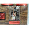 Image 8 : BULLS BASKETBALL CARD SET PLAQUE