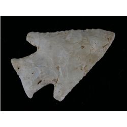Superb 2 1/2" Knobbed Hardin - Jackson COA
