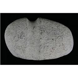 8 5/8" 3/4 Groove Axe