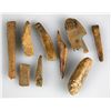 Image 1 : 9pc Alaskan Inuit Bone & Ivory Tools