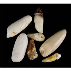 7 Alaskan Inuit Ivory Walrus Gamepieces