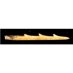 2 1/2" Alaskan Inuit Ivory Barbed Spear point