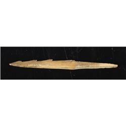 3 1/16" Alaskan Inuit Barbed Ivory Spearpoint