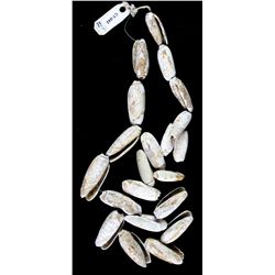 22" Cherokee Shell Necklace - Jackson COA