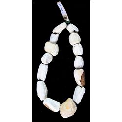 12" Shell Necklace - Jackson COA Ex - Cowan Hood