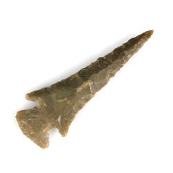 1 3/4" Scallorn