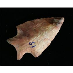 1 11/16" Seminole - Partain COA