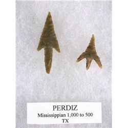 DECORATIVE - Pair of Perdiz Points