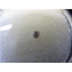 Natural colour round cut diamond. 0.1 ct