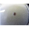 Image 1 : Natural colour round cut diamond. 0.1 ct