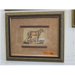 Framed picture of Lioness'