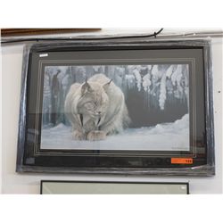 "Dozing Lynx" by Robert Bateman - Framed
