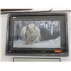 Image 1 : "Dozing Lynx" by Robert Bateman - Framed