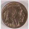 Image 1 : 1919 BUFFALO NICKEL MS-64