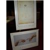 Image 1 : LOT OF (2) FRAMED DAVINCI FINE ART POSTERS