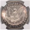 Image 3 : 1898 MORGAN SILVER DOLLAR, NGC MS-64+  BEAUTIFUL PERIMETER COLORS!