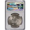 Image 4 : 1923 Peace Dollar NGC MS-61 VAM-1B (Extra Hair)