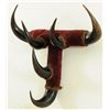 Image 3 : Antique Buffalo Horn Hat Rack