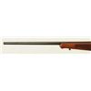 Image 8 : Winchester Model 70 .270 Featherweight