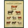 Image 1 : Snake River Cattleman's Assn Champion Sires Poster
