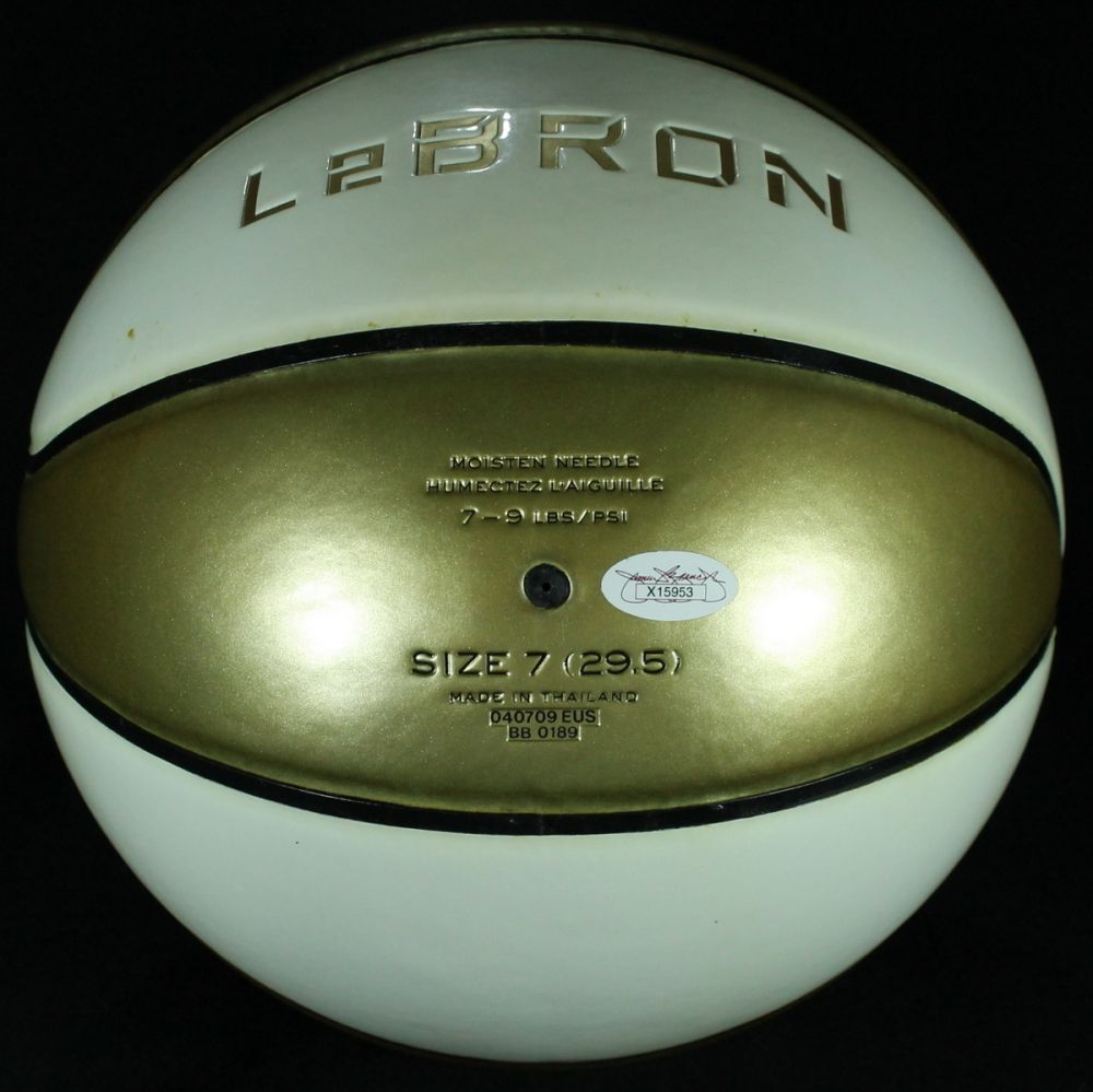nike lebron basketball ball