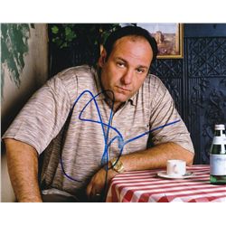 James Gandolfini Signed 8x10 Photo (PA LOA)