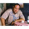 Image 1 : James Gandolfini Signed 8x10 Photo (PA LOA)