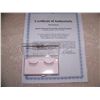 Image 1 : BARBRA STREISAND OWNED PAIR OF FALSE EYELASHES. WITH CERTIFICATE OF AUTHENTICITY