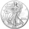 Image 1 : 2007-W (Burnished) Silver American Eagle MS-69 NGC (ER)