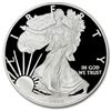 Image 1 : 2008-W (Proof) Silver American Eagle PF-69 UCAM NGC (ER