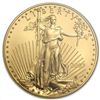 Image 1 : 2007 1 oz Gold American Eagle MS-70 NGC (Early Releases