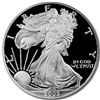 Image 1 : 2005-W Proof Silver American Eagle PF-69 UCAM NGC
