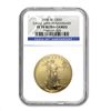 Image 1 : 2006-W 3-Coin Gold American Eagle Set MS/PF-70 NGC