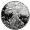 Image 1 : 1997-P Proof Silver American Eagle PF-69 UCAM NGC