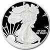 Image 1 : 2008-W (Proof) Silver American Eagle PF-70 UCAM NGC